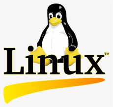 Network Linux Programming Training